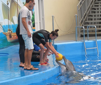 Дельфинотерапия: игра с дельфином