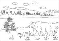 Рассказ о медведе